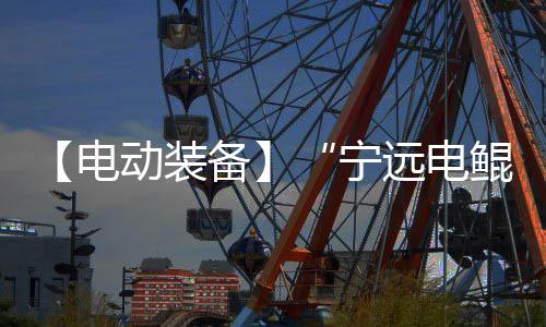 新县牛冲村：“乡村居游”落地生根 由于完全依靠电力驱动