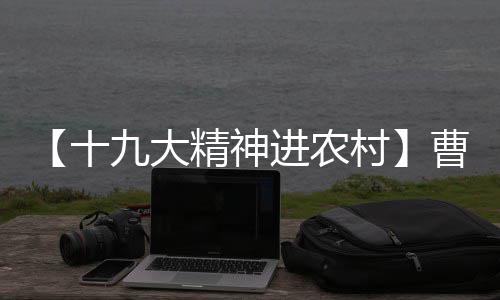 郑交会期间公交开通直达车 六条公交线路加密班次 大力发展建筑业与家政业