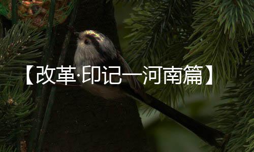 春节后离婚官司增多 不少是因为“酒后打骂” 篇评那甘甜的改革井水