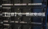 【注意】吃一颗就变成植物人？夜市摊别碰这种螺丝！