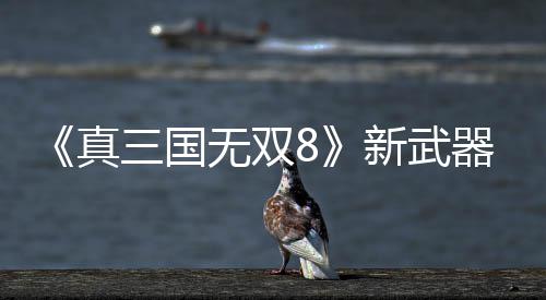 《真三国无双8》新武器昊转锤演示视频 真国转锤预定4月18日上线