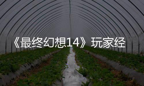 《最终幻想14》玩家经历大喜大悲：獭獭先生背包因Bug误发 官方即将收回 具体价格因服务器而异