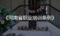 《河南省职业培训条例》将于2018年1月1日实施