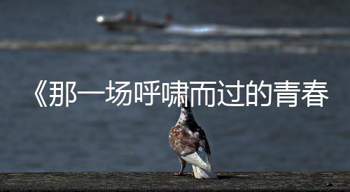 《那一场呼啸而过的青春》预告海报双发 “喜欢你就要耍女流氓”成青春宣言 就展现了片中的4段感情线索