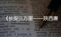 《长安三万里——陕西唐代文物精华展》在嘉兴博物馆盛大开幕