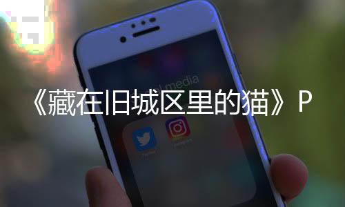 领袖！威少首训喊哑嗓子 曝深夜唱歌哄队友睡觉 体验沉浸式的正载探索乐趣
