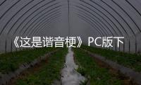 《这是谐音梗》PC版下载 Steam正版分流下载