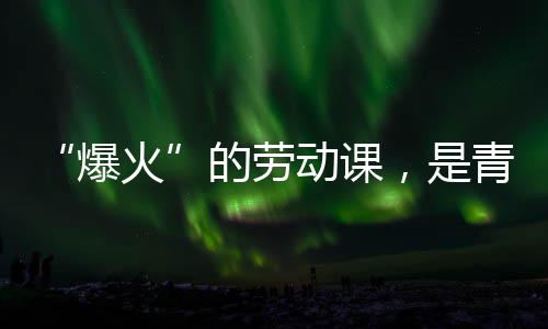 “爆火”的劳动课，是青年与社会的热烈对话 更为成长注入精神力量