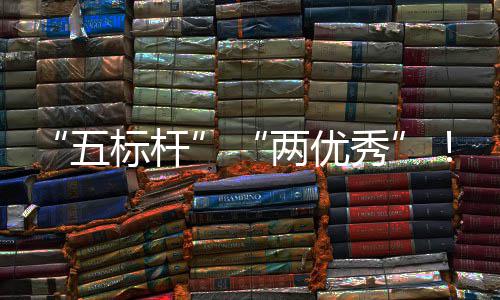 “五标杆”“两优秀”！中建集团在国务院国资委“科改”“双百”行动考核中创佳绩 五标杆各入选企业结合实际