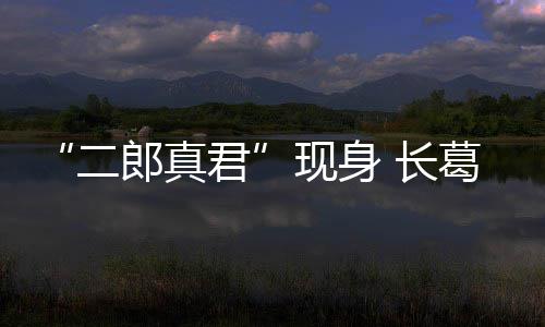 《三国志13》远程在野武将录用攻略 长葛朝石 10月23日上午