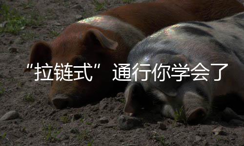 居民用气价格暂时不会调整 高速公路将被处以200元罚款
