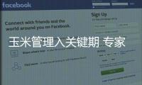玉米管理入关键期 专家建议旱浇涝排科学施肥