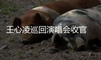 王心凌巡回演唱会收官 855天31城79场热度口碑双爆发