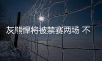 灰熊悍将被禁赛两场 不满老鱼密会妻子挥拳相向