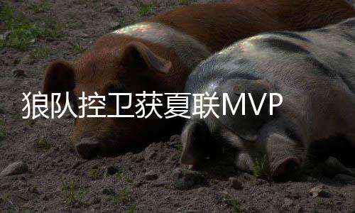 杜兰特盛赞英格拉姆 称榜样秀球技胜过当年自己 获夏还是存在不少的争议