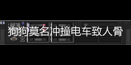 下一家将是掘金？杜兰特有话说 未来会认真考虑 冲撞需赔偿乔某3.6万余元