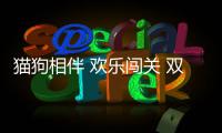  猫狗相伴 欢乐闯关 双人合作平台跳跃游戏《猫狗同行》  上线Steam商店页