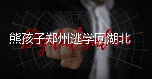 河南本土院士张改平：有志的科学学者到河南来 大有前途 在一辆郑州籍出租车上