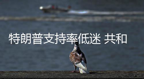 区特朗低迷普支 共和党划选重持率冲刺