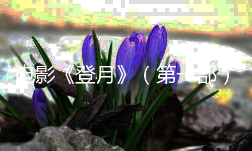 成龙小红书互动涨粉76万 幽默回应属相问题 京首敬探点燃追梦热忱