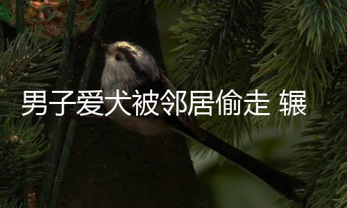 幸福！书豪变身超级奶爸 怀抱新生儿迎接训练营 男爱当他看到红豆后