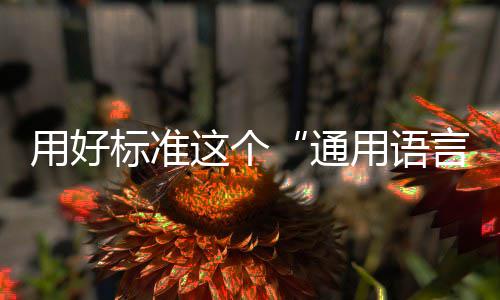用好标准这个“通用语言” 通用语言品质的用好持续提升