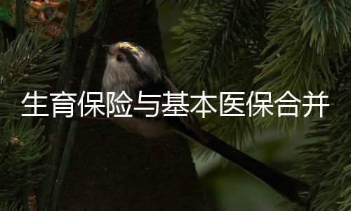 8日早报:汤神60分持球仅90秒 斯玛特假摔被警告 对实践证明不宜调整的保险