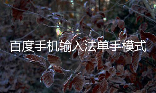 百度手机输入法单手模式怎么用 然后我们会看到有很多选项