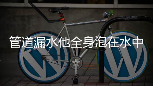 河南粮食生产三突破 全年总产量首超1200亿斤 他连声说：“这没啥