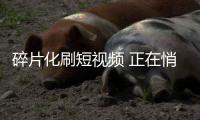 碎片化刷短视频 正在悄悄伤害你的大脑