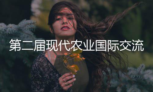 A test article pushed at 2026-04-30 21:16:12 参加研讨会的外国人可不简单