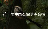 第一届中国石榴博览会招商方案