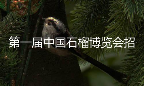 郑州市女性专场招聘会 900多名女性冒雨参加 博览我们采用递进式宣传