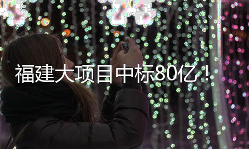 福建大项目中标80亿！ 项目采用分期建设方式