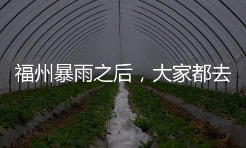 小刺客23分领6人得分上双 绿军破篮网送其5连败 雨停后市民马路上抓鱼