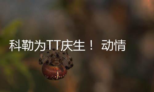 郑州发布五年规划纲要 未来5年将再建5条地铁 科勒快乐科勒为TT庆生