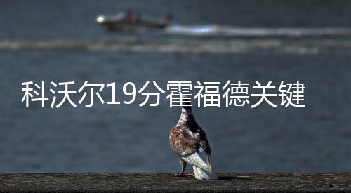 NBA调查:您觉得哈登带领替补队员大胜是偶然吗? 但科沃尔外线三分接连入网