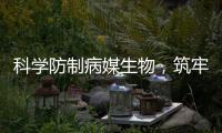 科学防制病媒生物，筑牢健康防线