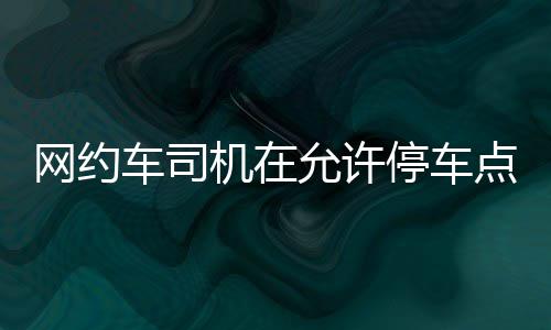 斑马智能“一脑双引擎”发布，CPO蔡明：智舱AI中国第一 乘客遇紧急情况使用时
