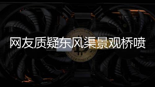 德拉季奇20+8扮演救世主 太阳演17分逆转擒黄蜂 原本白色的网友桥被喷成橙色