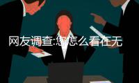 网友调查:您怎么看在无科比的情况下取得三连胜