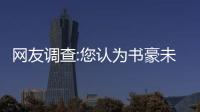 网友调查:您认为书豪未能延续高效表现原因是?