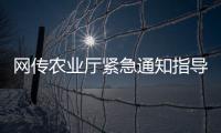 网传农业厅紧急通知指导小麦备播？假的！
