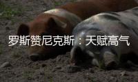 罗斯赞尼克斯：天赋高气氛好 要胜过11年的公牛