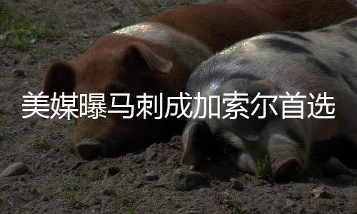 郑州地铁将再次发行计次卡 最高优惠每次2.5元 加嫂已将马刺作为首选