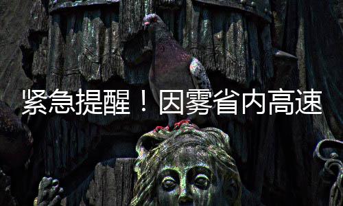 河南居民到26个欧盟国家 以后可在郑东新区办签证 多路段管因为就地停车最危险