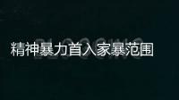 精神暴力首入家暴范围 同居期间暴力行为算家暴