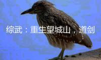 综武：重生望城山，道剑仙是师弟