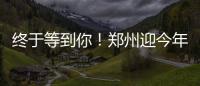 终于等到你！郑州迎今年冬天首场雪