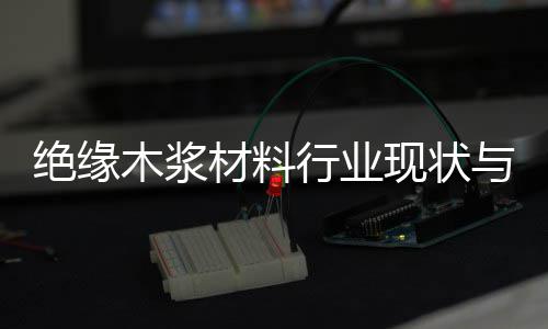 绝缘木浆材料行业现状与发展趋势分析(2026年) 占据了市场的绝缘主导地位